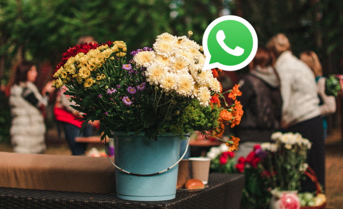 Las floristerias comienzan a automatizar pedidos en Whatsapp