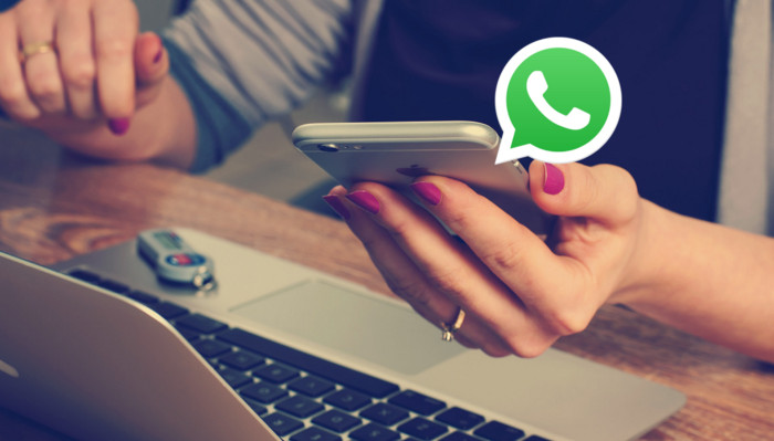 WhatsApp Business para vender y atender a tus clientes Alcampo