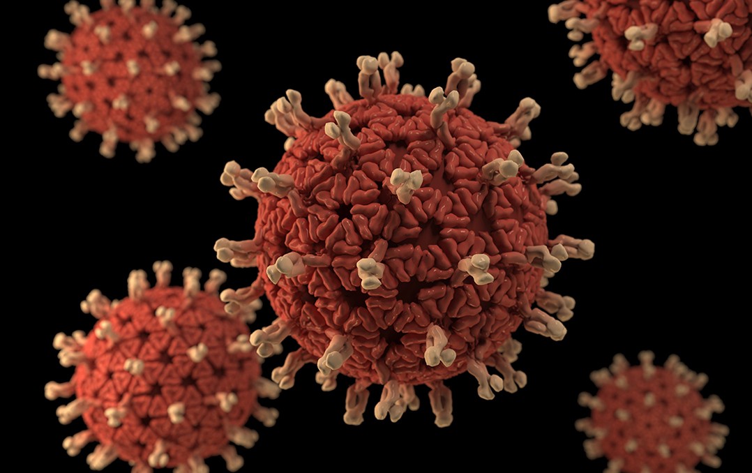 Chatbots en WhatsApp para combatir al Coronavirus covid whatsapp