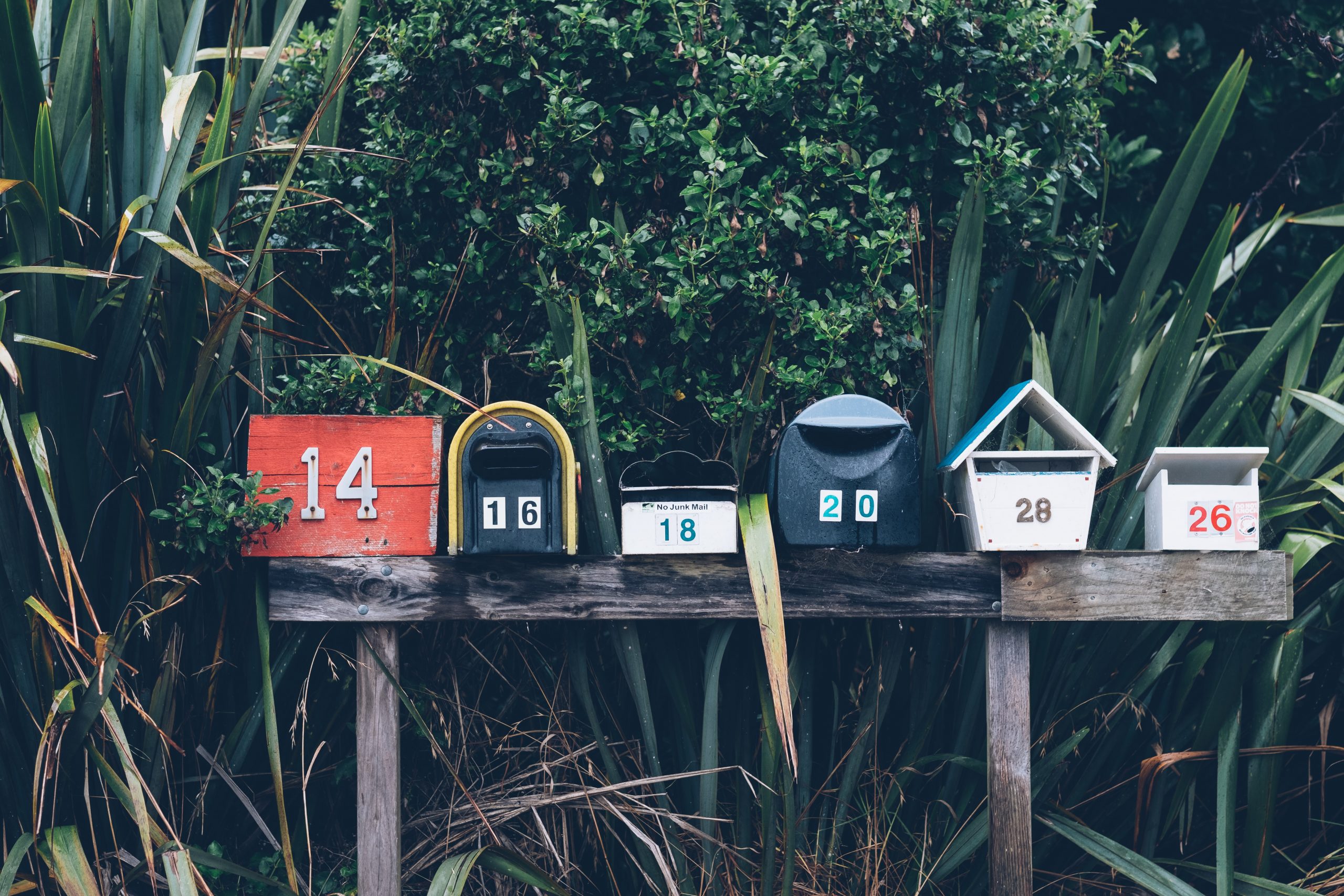 ¡Unete a nuestra Newsletter! mathyas kurmann fb7yNPbT0l8 unsplash scaled